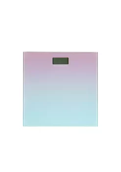 Bath Bliss Stainless Steel Toilet Brush Holder