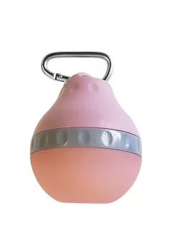 American Pet Supplies Eco-friendly Silicone Dog Travel Water Bottle, 8oz