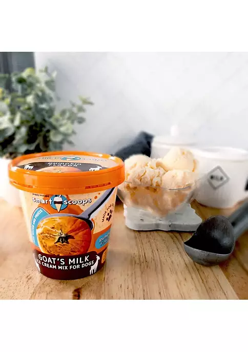 American Pet Supplies - Smart Scoops Goat's Milk Ice Cream Mix - Pumpkin 2 American Pet Supplies - Smart Scoops Goat's Milk Ice Cream Mix - Pumpkin - Image 2
